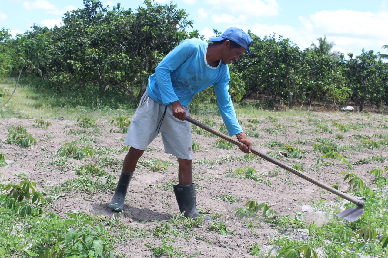 Agricultores familiares de quatro municípios receberão seguro do Garantia-Safra