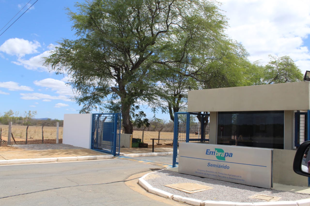 Cooperação entre Seagri e Embrapa Semiárido beneficiará produtores de Canindé de São Francisco e Poço Redondo