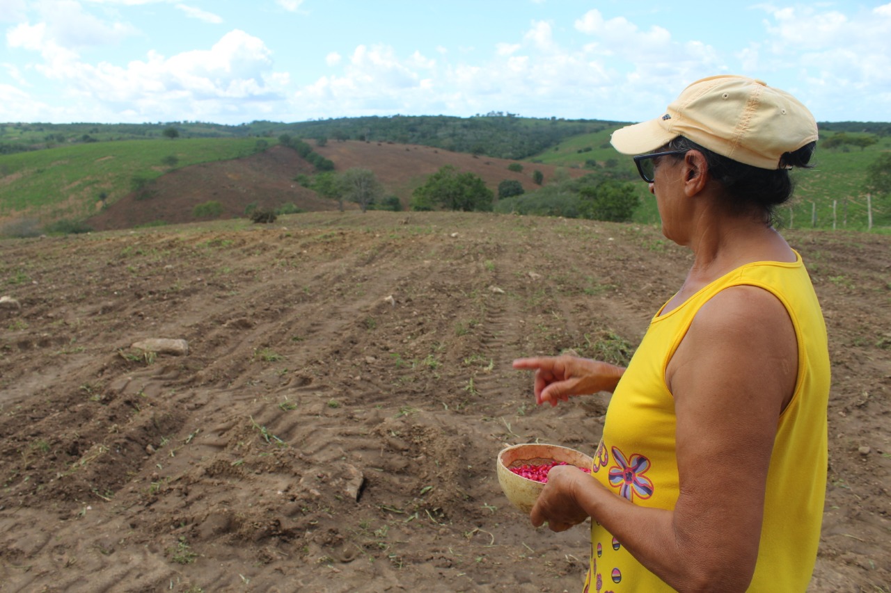 Chuvas de junho trazem novas perspectivas para a safra de milho de 2019