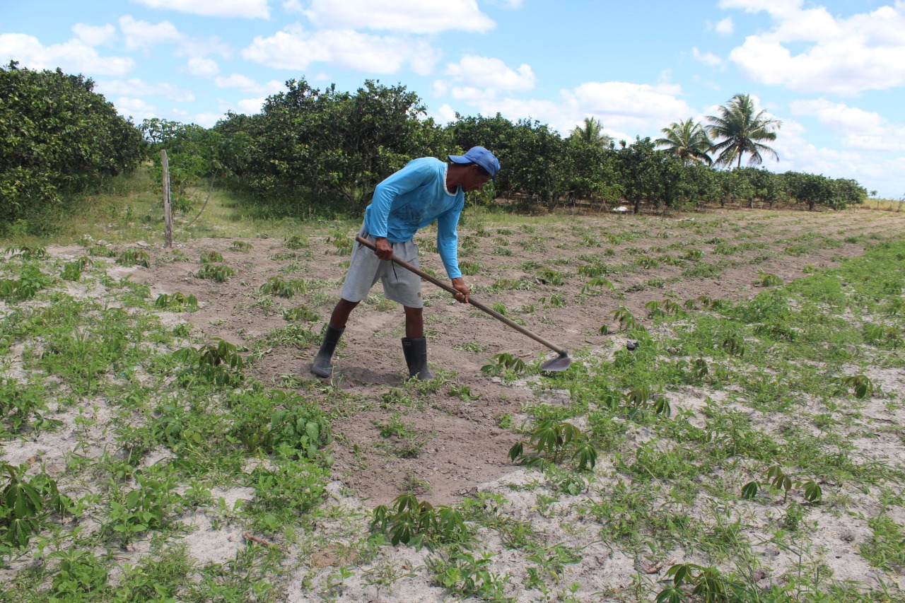 Governo de Sergipe aporta R$ 1,2 milhão para pagamento do seguro garantia-safra 2019