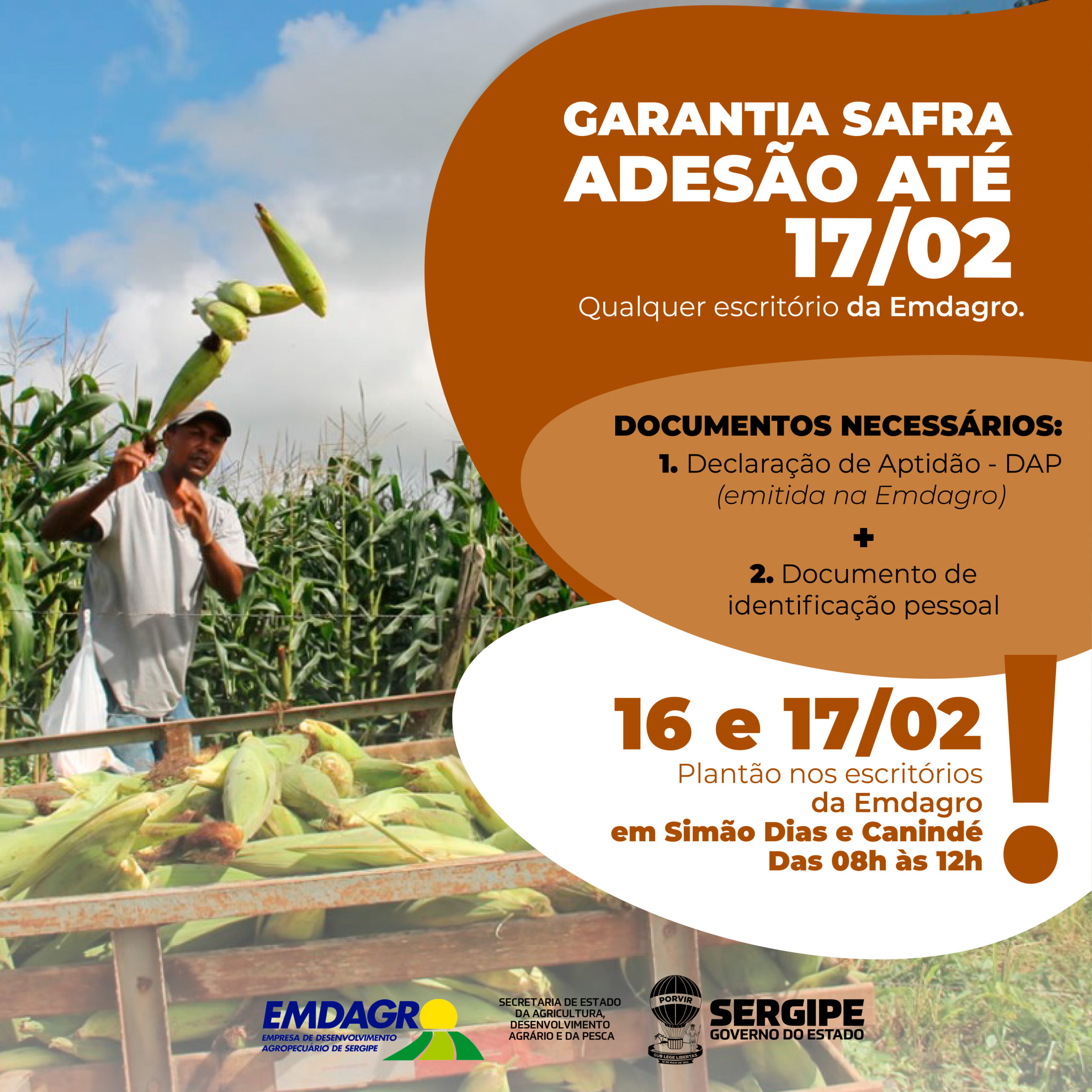 Agricultores familiares têm até dia 17 para aderir ao seguro Garantia-Safra