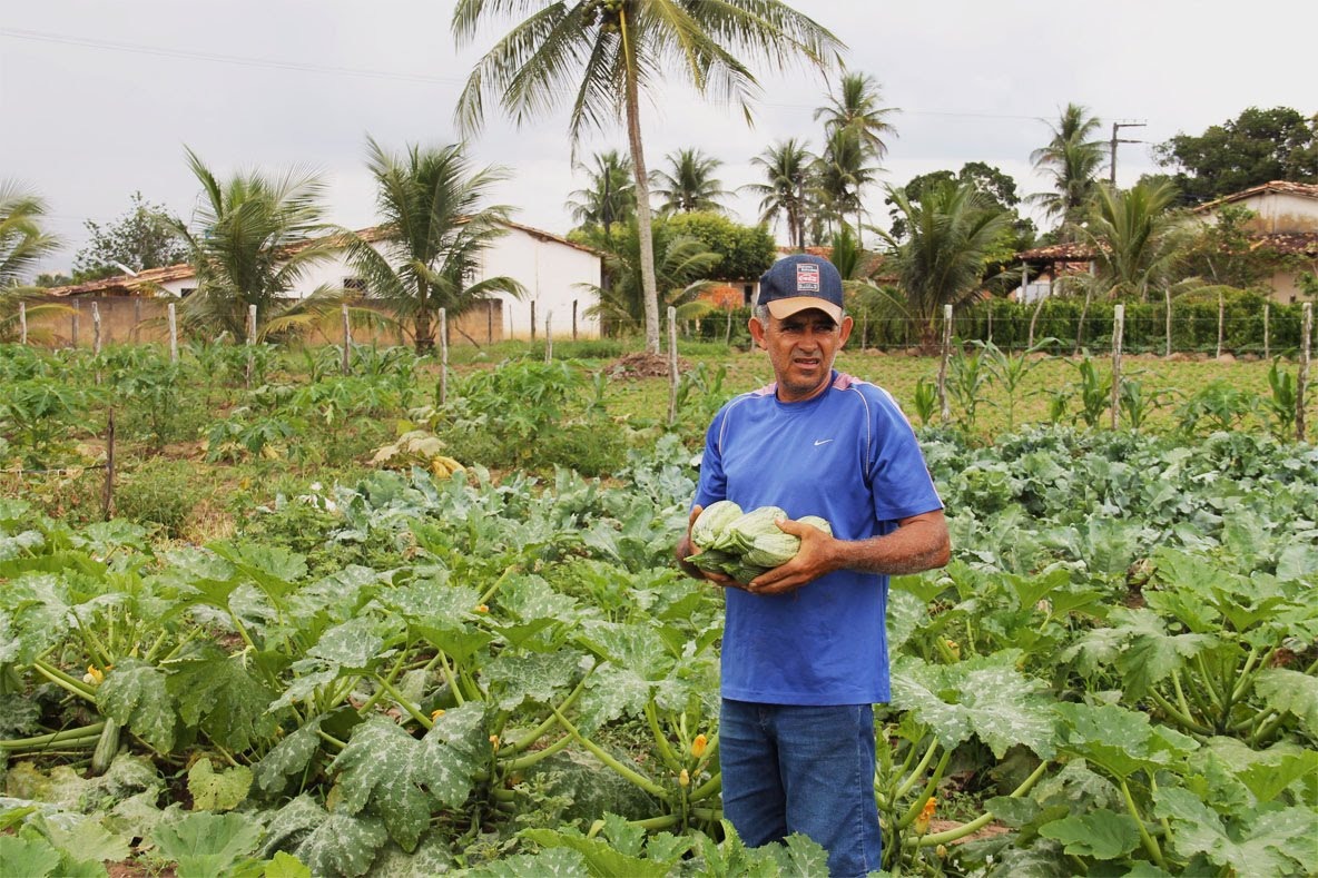 PERFIL | Agricultor irrigante Nilson dá lição de alta produtividade em pequeno espaço