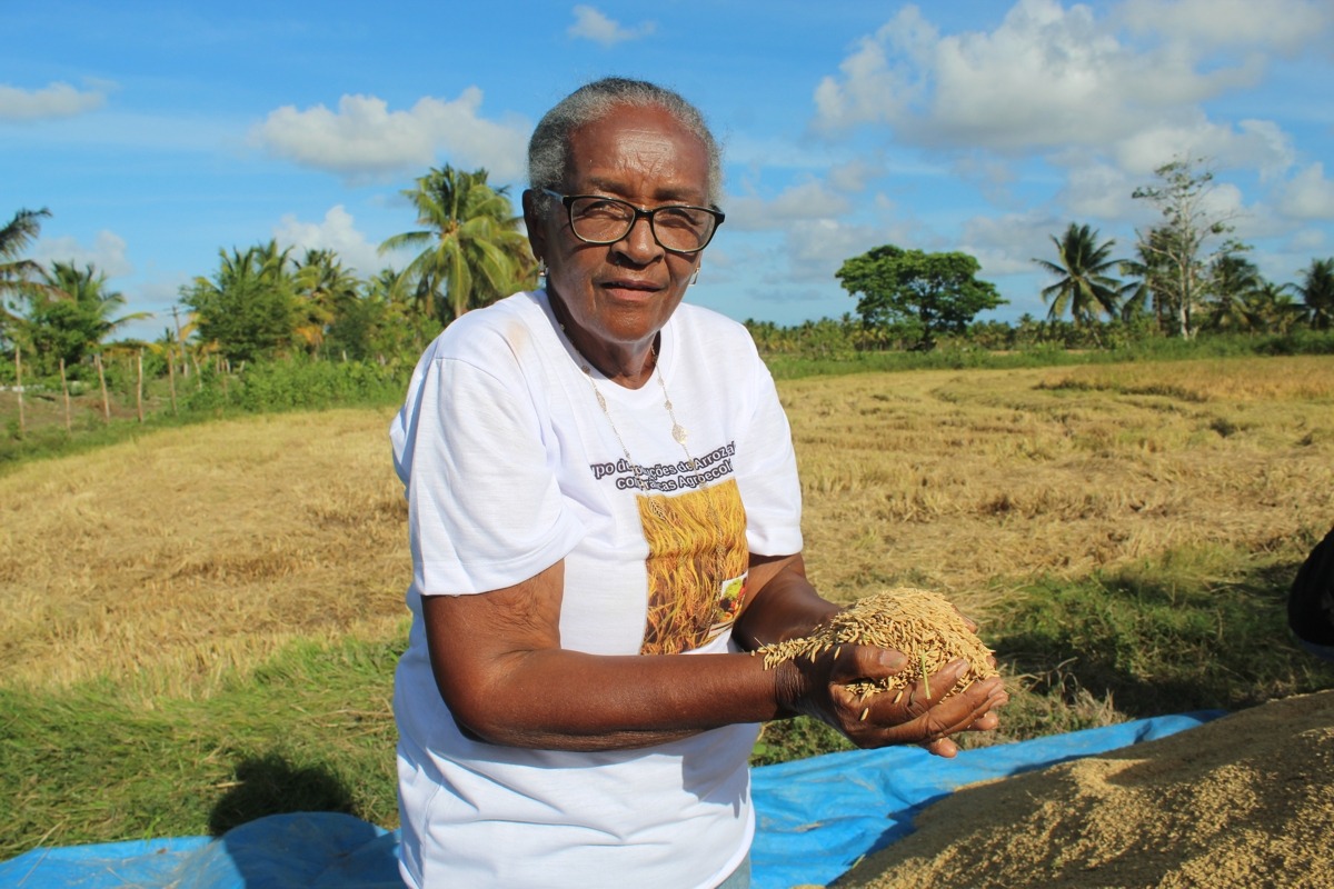 Agricultura familiar continua como alternativa viável de atividade econômica durante a pandemia