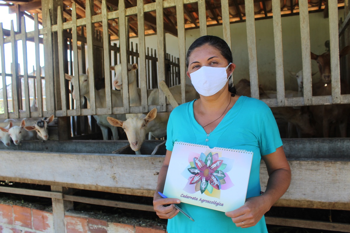 DOM TÁVORA | Cadernetas Agroecológicas revelam importância da contribuição da mulher do campo na renda familiar