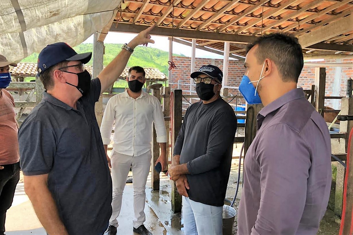 Projeto de Combate à desertificação distribuirá mudas de gliricídia e palma forrageira para pequenos pecuaristas