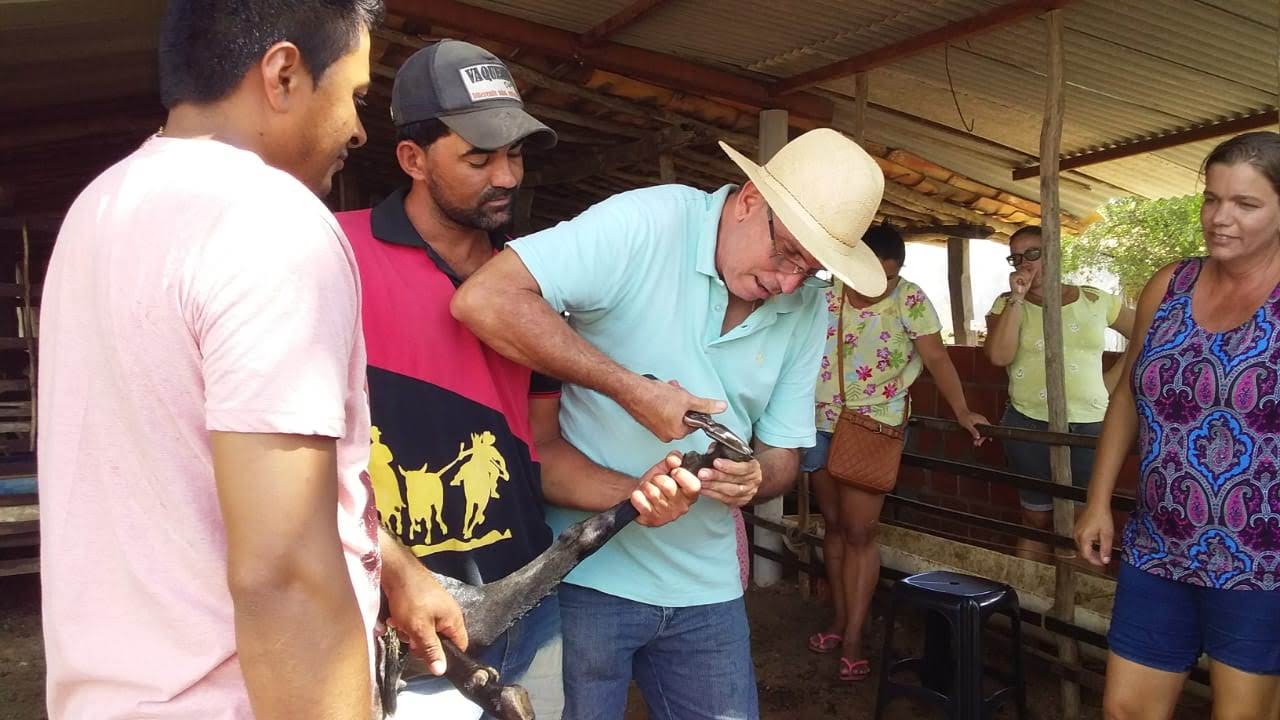Projeto Dom Távora capacita pequenos criadores de ovinos em manejo sanitário