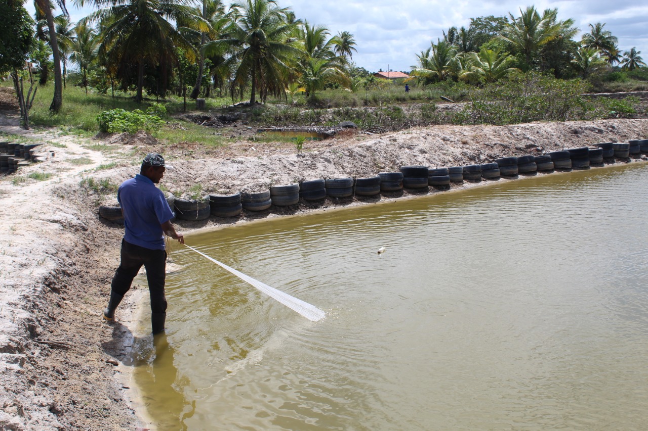 Integração entre secretarias agiliza outorga de água para criação de camarão