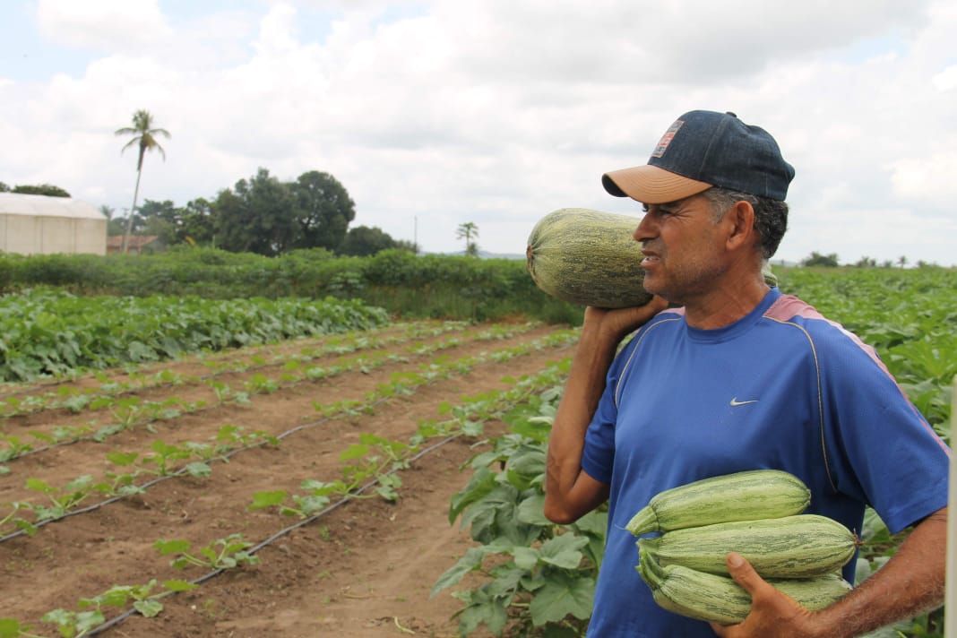 CORONAVÍRUS | Secretários da Agricultura do Nordeste propõem medidas ao governo Federal para minimizar impactos na agricultura familiar
