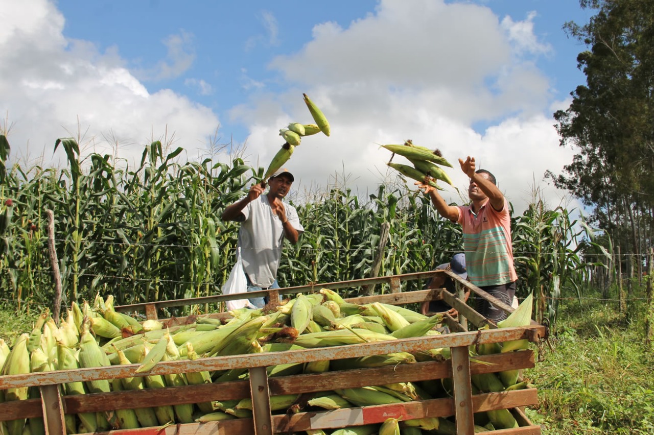 MAPA divulga municípios que receberão pagamentos do Garantia-Safra em março