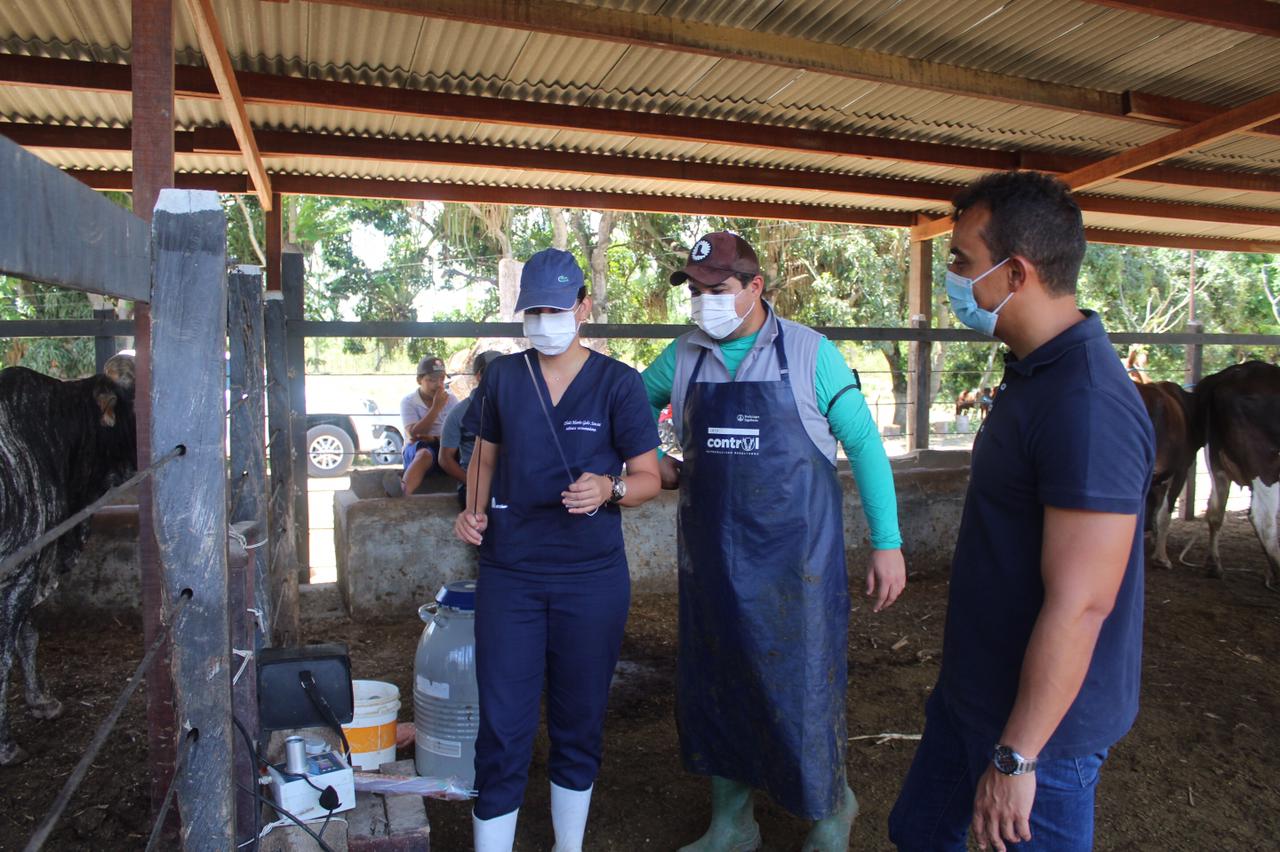 Sergipe é o sexto Estado em produtividade de leite no Brasil
