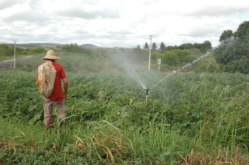 Energia solar garantirá sistema de irrigação de assentamento rural em Sergipe