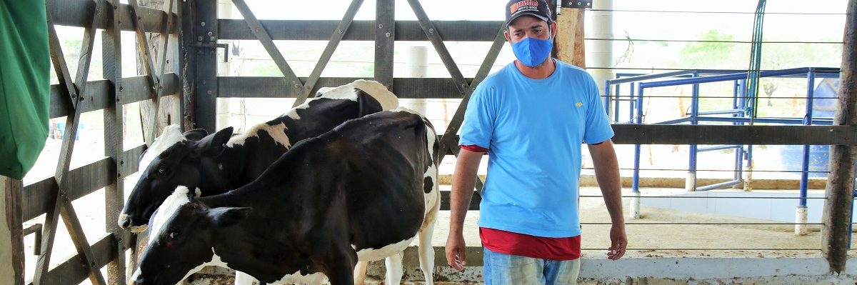 Programa de melhoramento genético do rebanho leiteiro tem resultados positivos