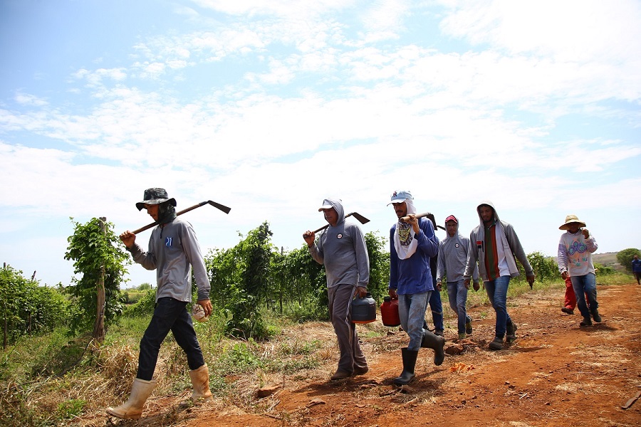 Programa Garantia-Safra encerra inscrições com mais de 19 mil agricultores cadastrados
