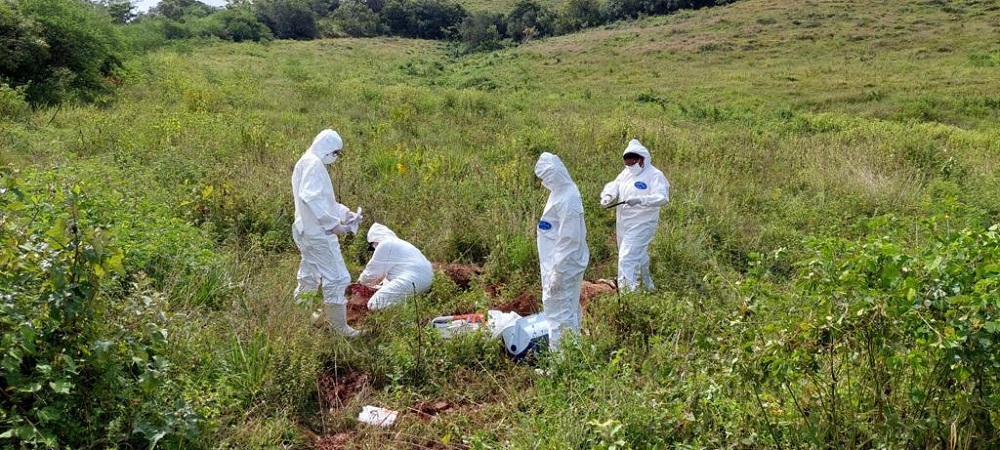 Emdagro fiscaliza casos de raiva em bovinos no município de Siriri