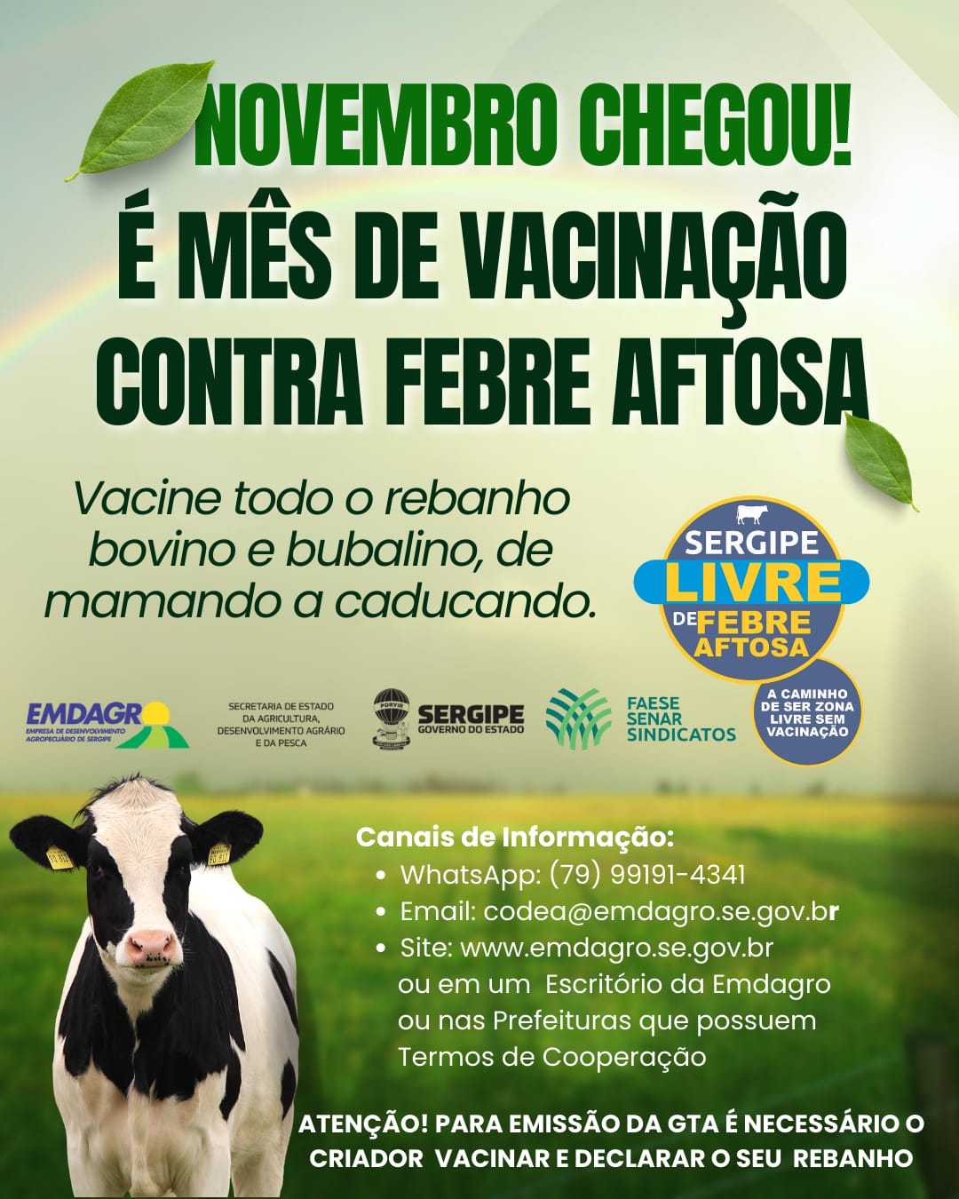 Sergipe inicia 2ª etapa da campanha contra a febre aftosa
