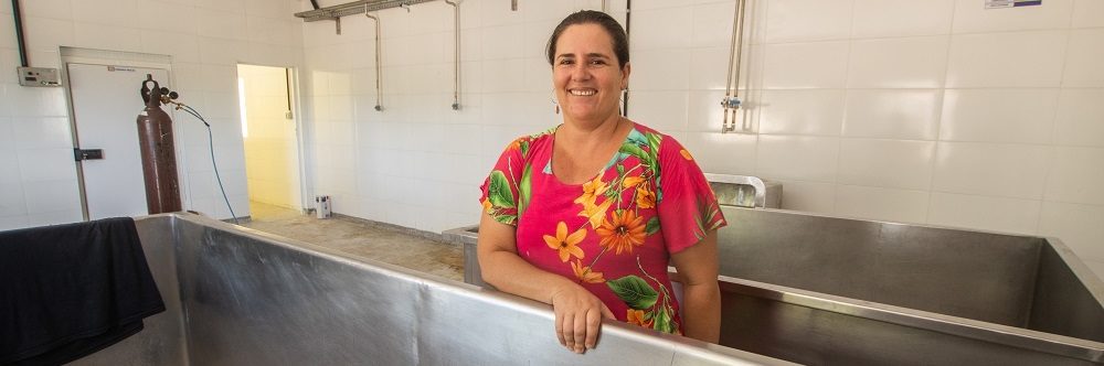 Regularização de pequenas queijarias gera mais desenvolvimento para Sergipe