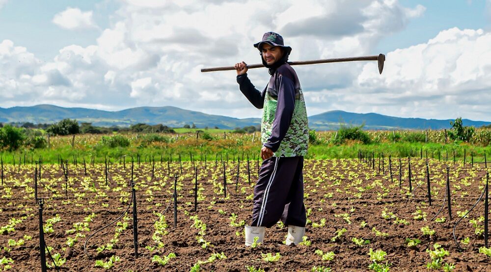 Agricultura gera emprego e renda com apoio de políticas públicas do Governo de Sergipe