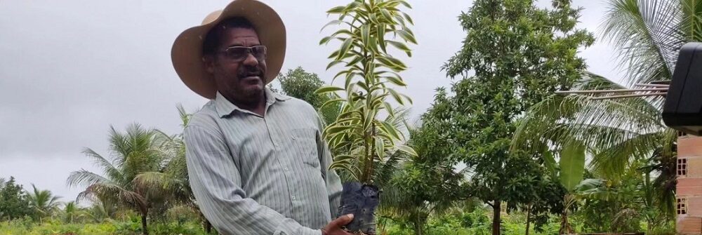 Produtores de plantas ornamentais recebem apoio e assistência técnica da Emdagro