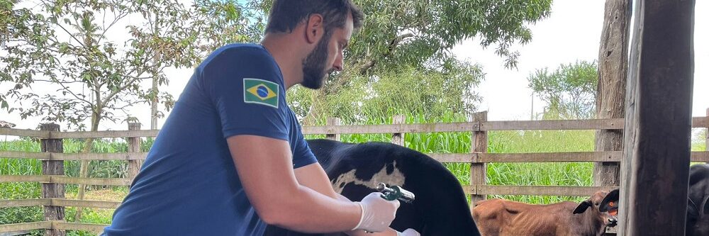 Lei estadual que moderniza medidas de defesa sanitária animal em Sergipe é aprovada na Alese