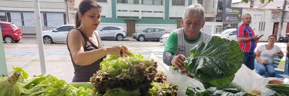 Feira da agroecologia retorna em Itabaiana