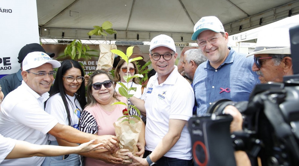Governo do Estado sanciona lei que fortalece cadeia produtiva do arroz em Sergipe