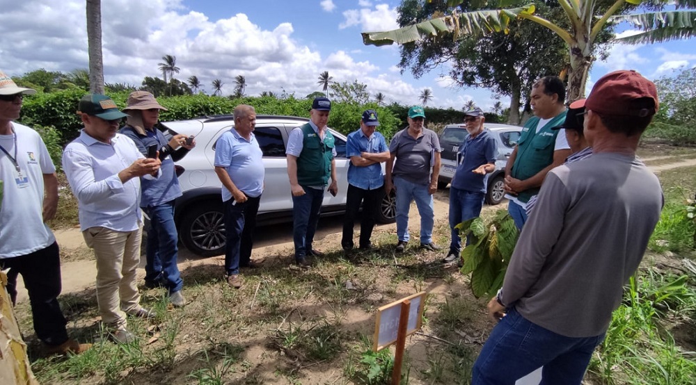 Pesquisadores Ceplac e Emdagro visitam áreas de plantio de cacau em Sergipe para implementação de Termo de Cooperação Técnica