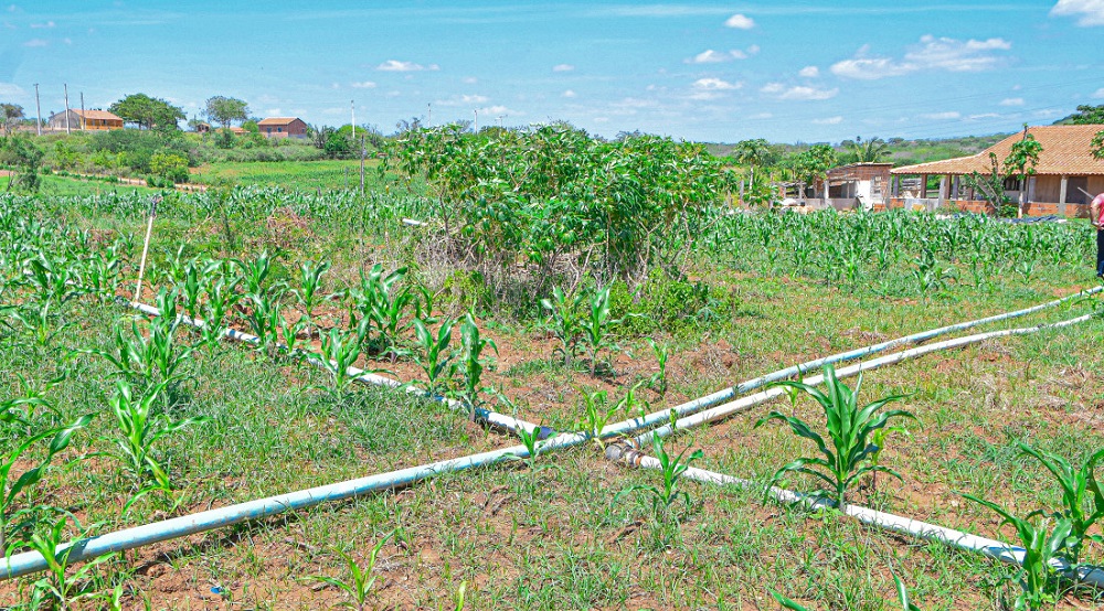 Perímetros irrigados do Governo de Sergipe geram polos de desenvolvimento agrário no estado