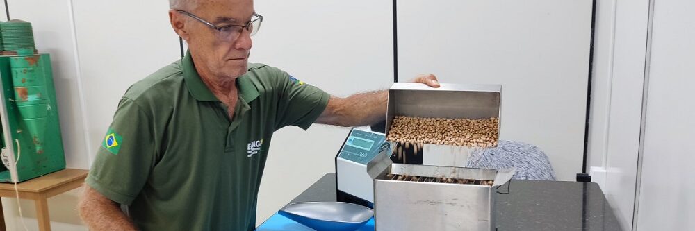 Laboratório de classificação vegetal da Emdagro recebe certificação do Ministério da Agricultura e Pecuária