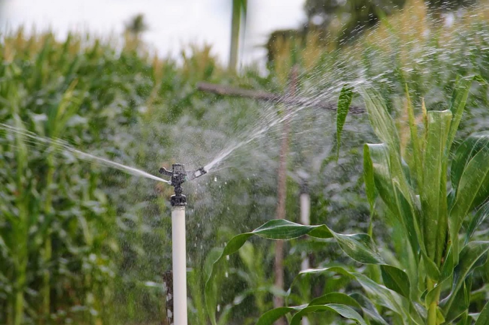 Perímetro irrigado estadual celebra Dia Mundial da Água com comunidade escolar e agricultores