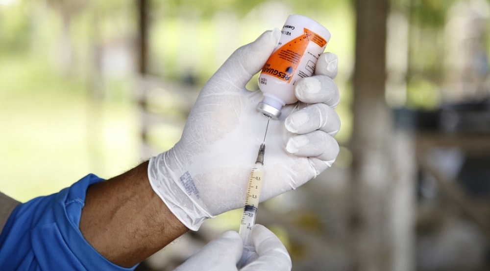 Governo de Sergipe disponibiliza vacina gratuita contra Clostridiose e Brucelose