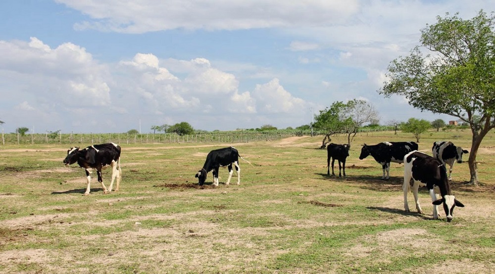 Governo de Sergipe publica edital para projeto da Adutora do Leite