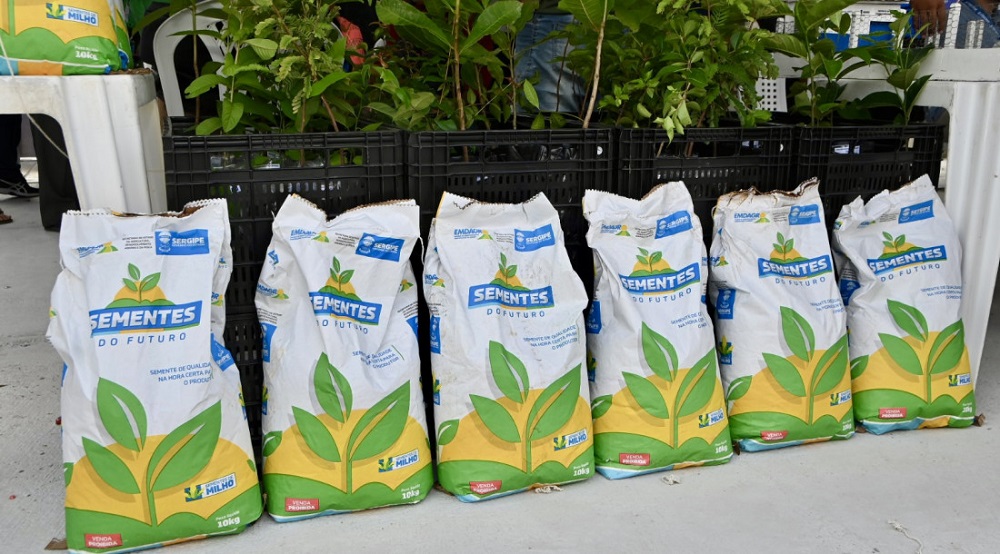 Governo entrega 2 mil quilos de sementes de milho aos agricultores de Carira durante o ‘Sergipe é aqui’