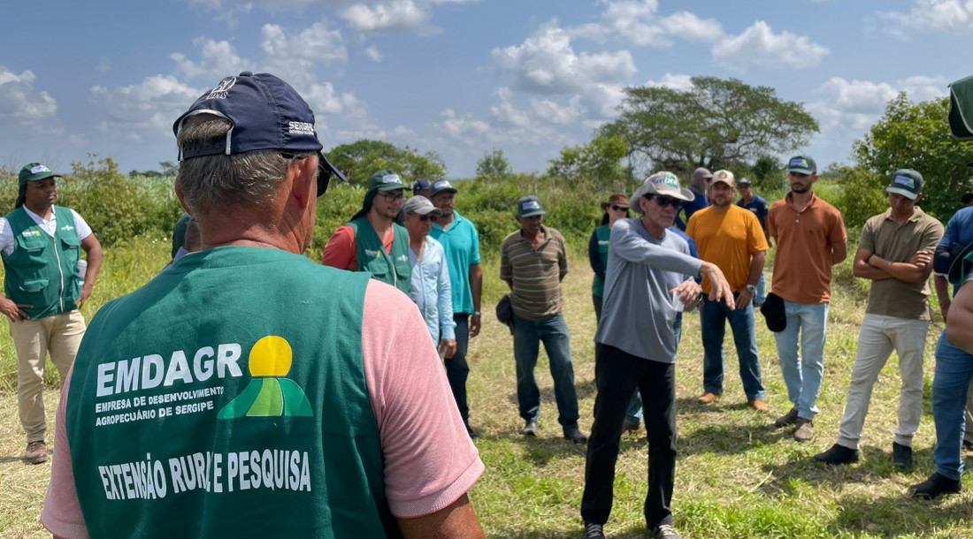 Emdagro realiza oficina de práticas agroecológicas em sistemas integrados