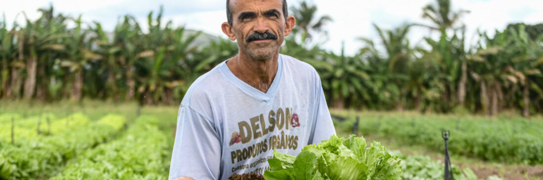 Santander estima que produção agropecuária sergipana cresça 7% em 2024