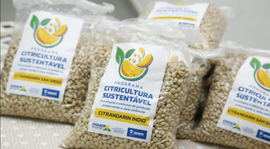 Emdagro realiza dia de campo com entrega de sementes para viveiristas e citricultores