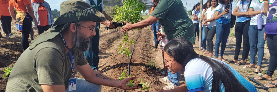 Secretaria da Agricultura capacita mulheres quilombolas para implantação de hortas orgânicas