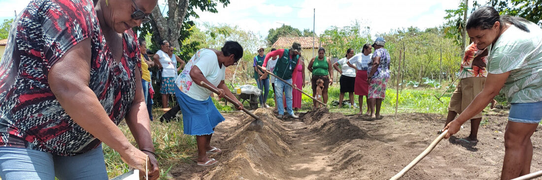 Sergipe avança com o Programa Ater Mulher e beneficia 630 trabalhadoras rurais