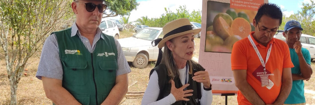 Projeto Rede Citros fortalece citricultura sustentável em Sergipe
