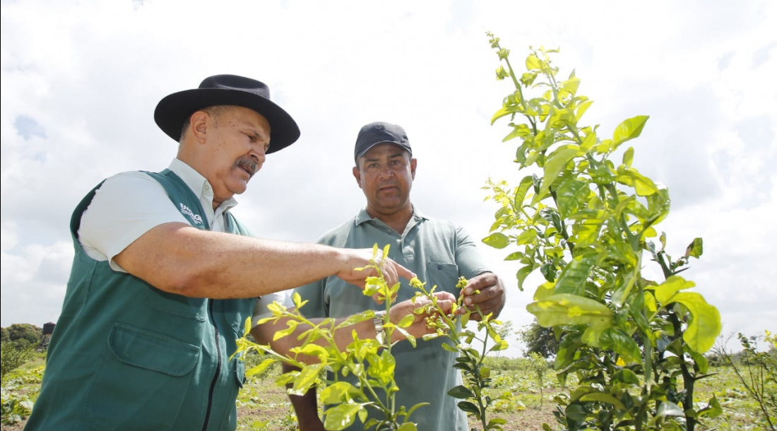 Sergipe apresenta avanços em assistência técnica e programas para agricultura familiar