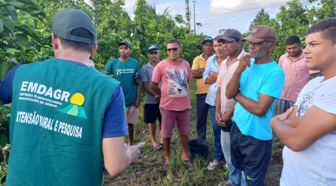 Pequenos citricultores recebem apoio do Governo de Sergipe para fortalecer produção