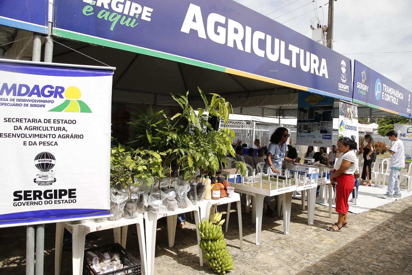 Ações da Agricultura estão entre os mais de 160 serviços oferecidos no ‘Sergipe é aqui’ em Arauá 