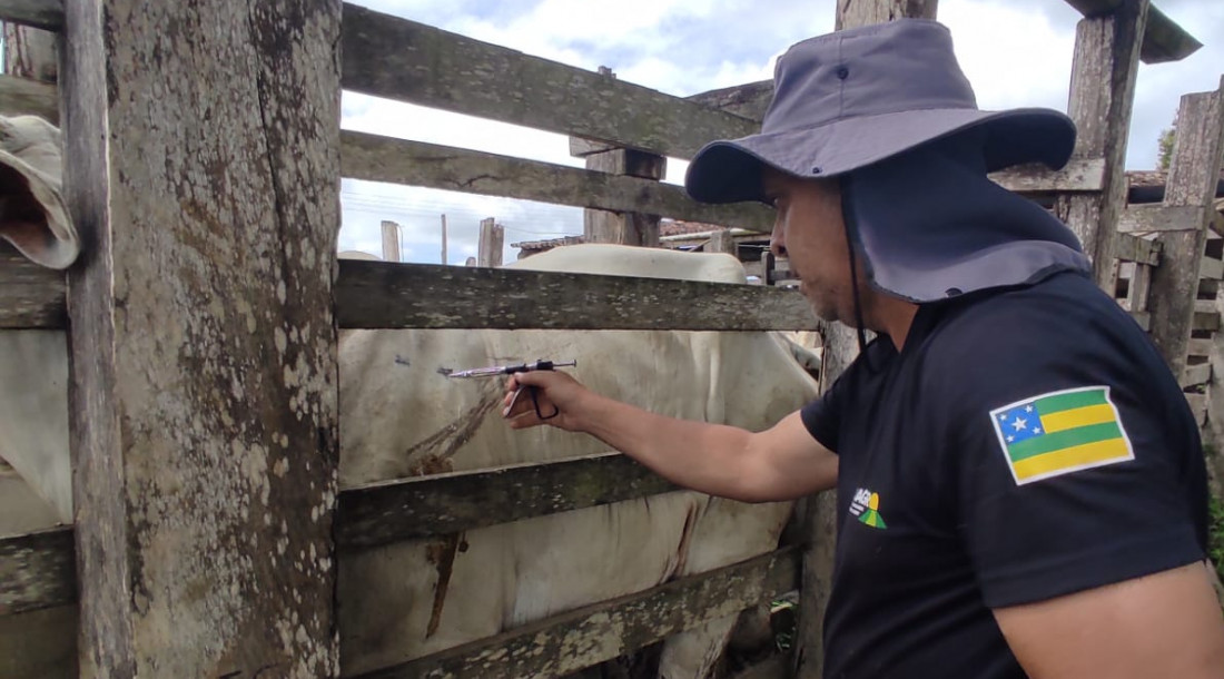 Emdagro conclui inquérito epidemiológico para erradicação da tuberculose bovina em Sergipe