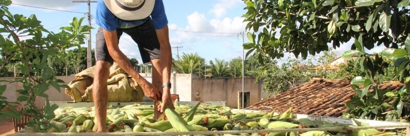 BNB e Emdagro ampliam atendimento a agricultores familiares de Sergipe