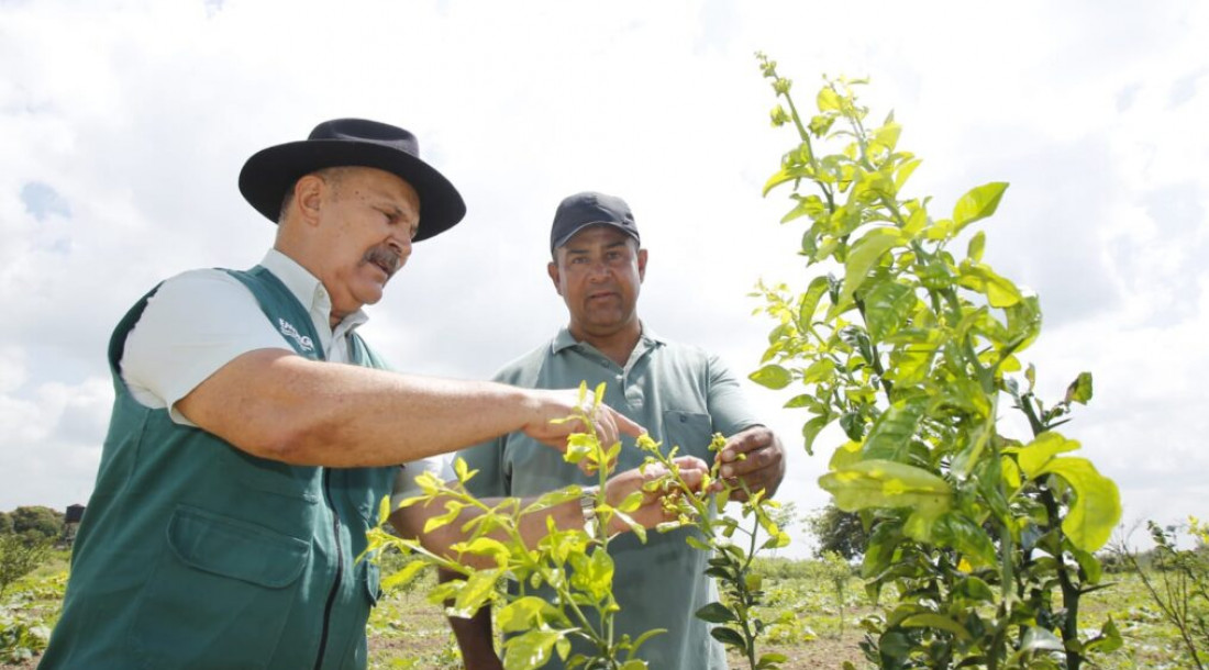 Emdagro celebra 63 anos promovendo desenvolvimento agropecuário em Sergipe