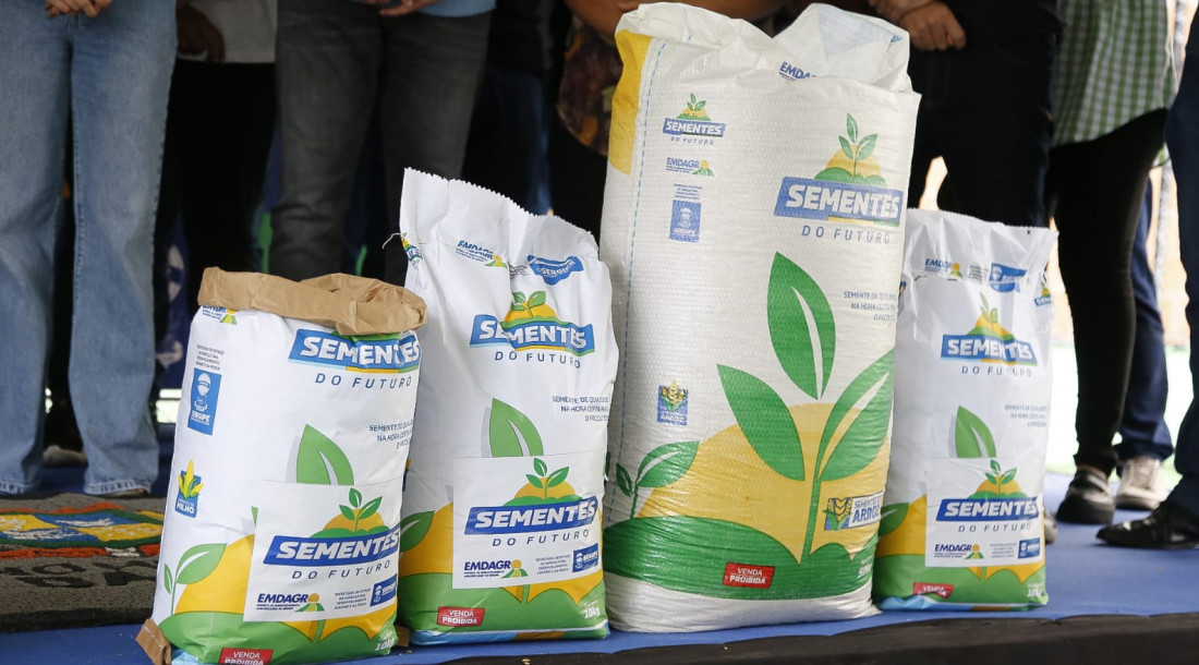 Governo do Estado entrega sementes de arroz certificadas a produtores do baixo São Francisco