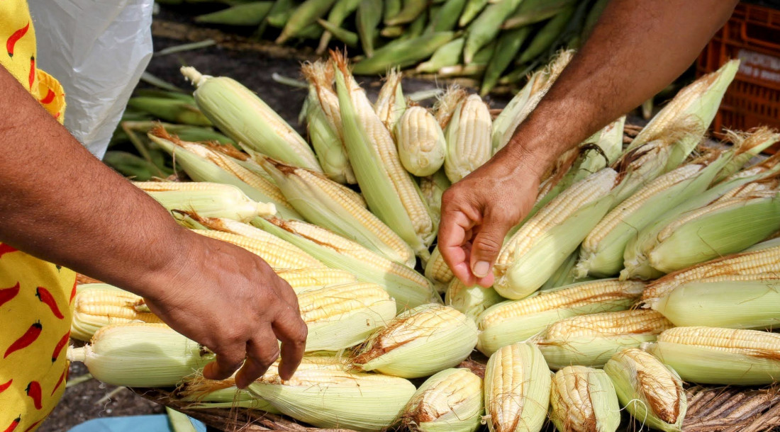 Feira Junina da Ceasa Aracaju começa na próxima terça-feira, 3