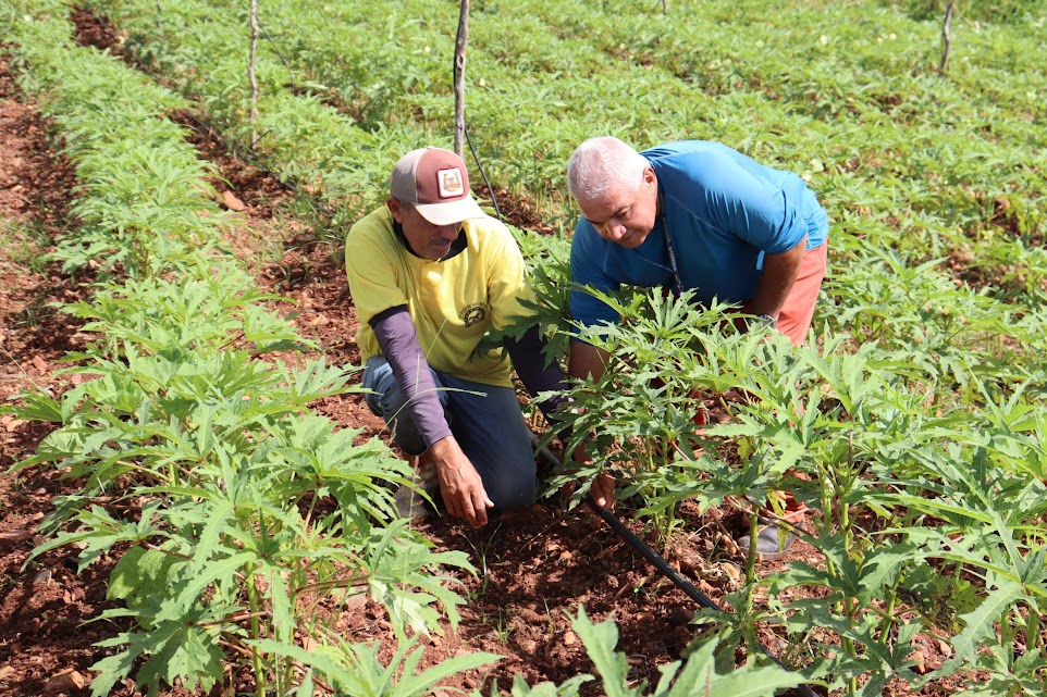 Crédito rural movimenta R$ 1,5 milhão no perímetro irrigado Califórnia