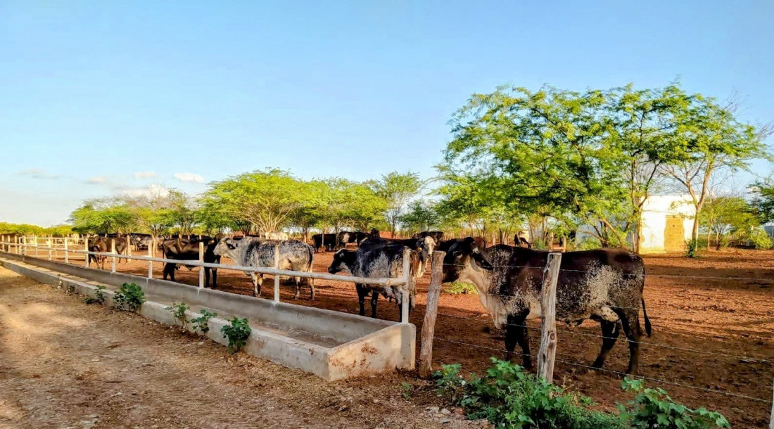 Governo do Estado investe na segurança hídrica de Poço Redondo e impulsiona agricultura