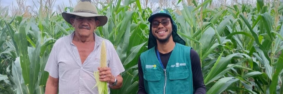 Parceria entre Governo e Banco do Nordeste garante assistência técnica personalizada a agricultores de milho em Sergipe