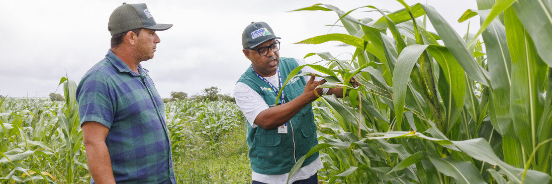 Atuação integrada do Governo de Sergipe fortalece agricultura e dá assistência aos pequenos produtores